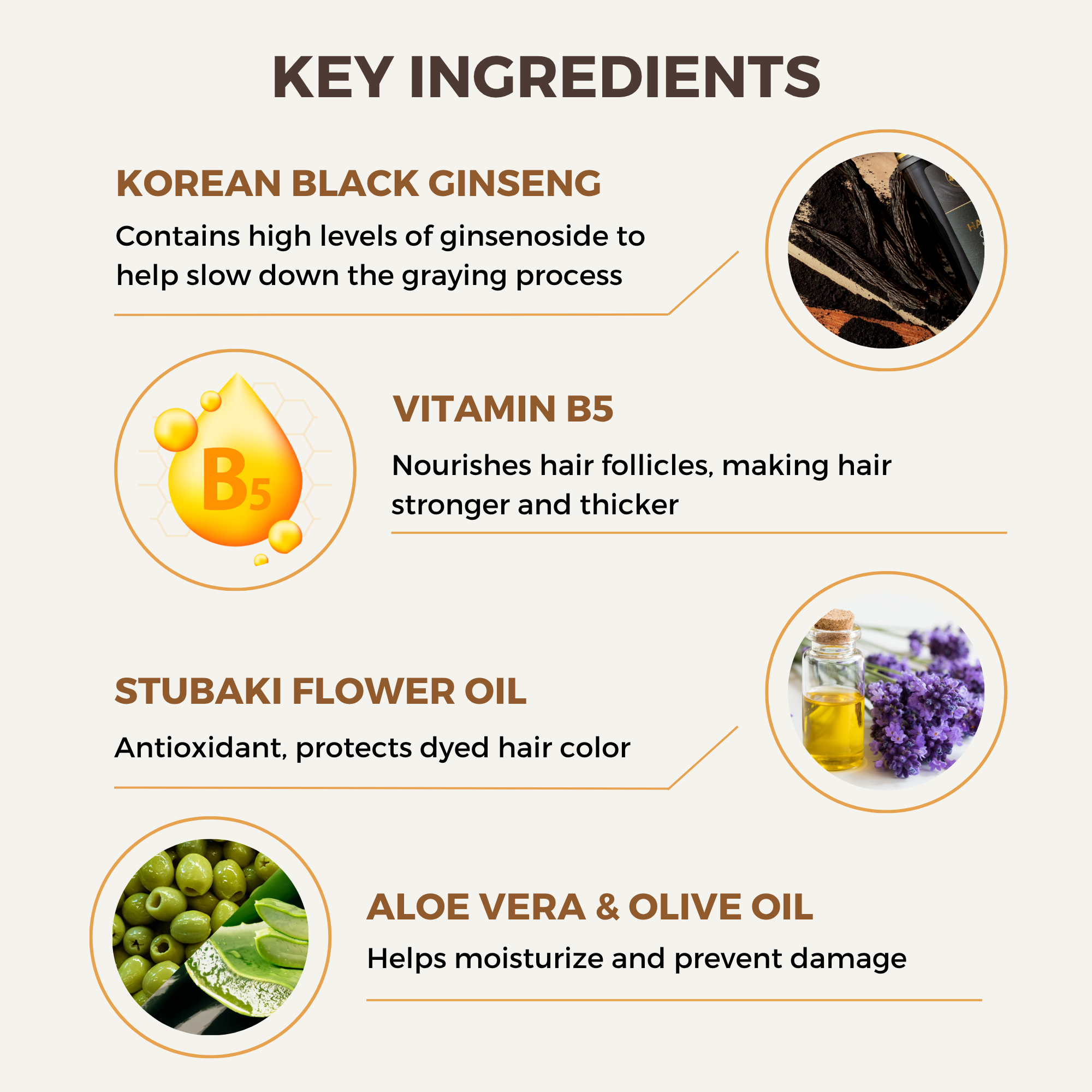 MOCNHU Hair Dye Shampoo - Black Ginseng